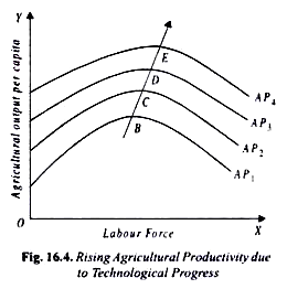 Rising Agricultural Productivity due to Technological Progress