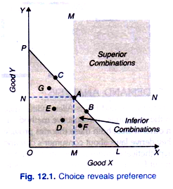 strong form of preference hypothesis