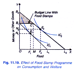 Effect of Food Stamp Programme on Consumption and Welfare