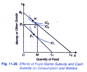 Effects of Food Stamp Subsidy and Cash Subsidy on Consumption and Welfare