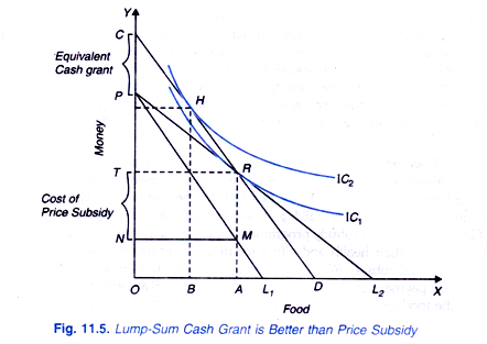 Lump-Sum Cash Grant is Better than Price Subsidy