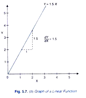 Graph of a Linear Function