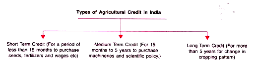 Types of Agriculture Credit in India
