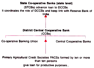State Co-Operative Bank