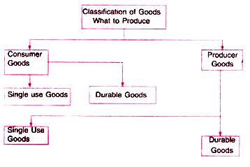 Classification of Goods What to Produce