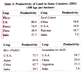 Productivity of Land in some Countries (2002)
