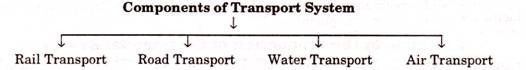 Componebts of Transport System