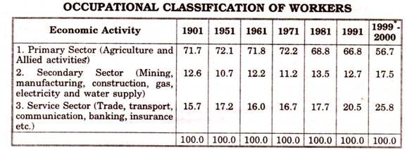 Occupational Classification of Workers