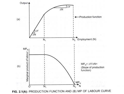 (A) Production Function and (B) MP of Labour Curve