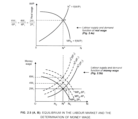 Equilibrium in the Labour Market and the Determination of Money Wage