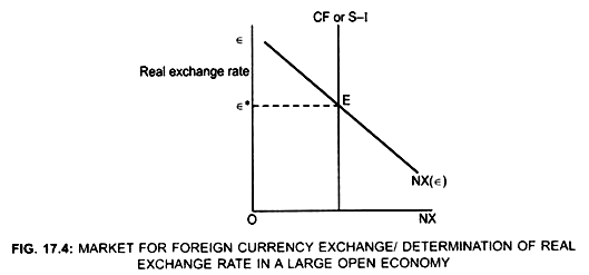 Market for Foreign Currency Exchange/Determination of Real Exchange Rate in a Large Open Economy