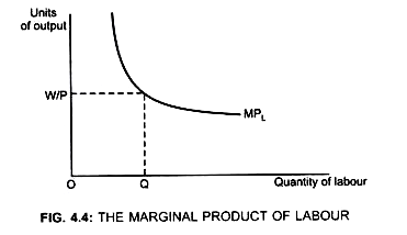 The Marginal Product of Labour