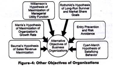 Other Objectives of Organizations