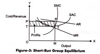 Short-Run Group Equilibrium