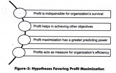Hypotheses Favoring Profit Maximization