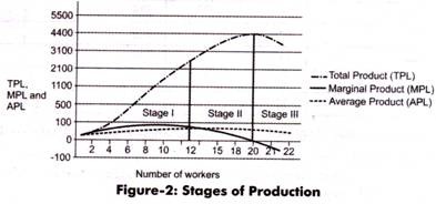 Stages of Production