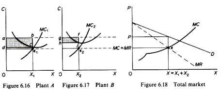 Monopolist in Multiplant Firm