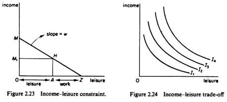 Income leisure constraint