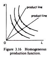 Homogeneous Production Function
