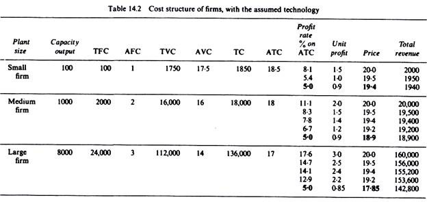 Cost structure of firms with the assumed technology