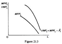 Marginal Product Curve