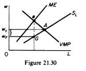 Monopsonist in the Labour Market