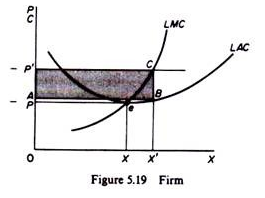 Price Curve of Firm