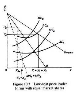 Low-cost price leader Firms with equal market shares
