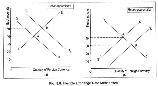 Flexible Exchange Rate Mechanism