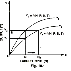 Labour Input (N)