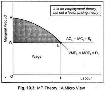 MP Theory: A Micro View