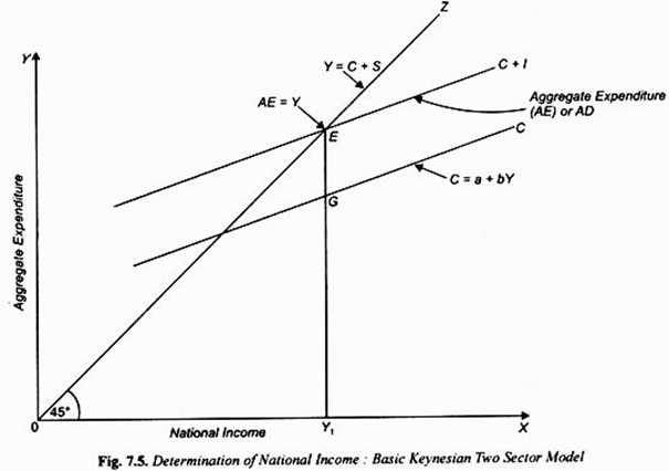 Determination of National Income: Basic Keynesian Two Sector Model