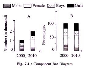 Component Bar Diagrams