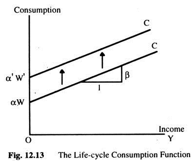 The Life-Cycle Consumption Function
