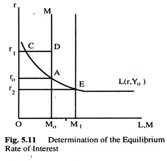 Determination of the Equilbrium Rate of Interest
