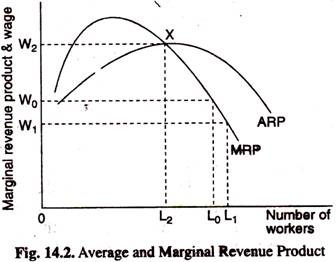 Average and Marginal Revenue Product
