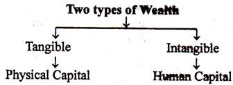 Two types of Wealth