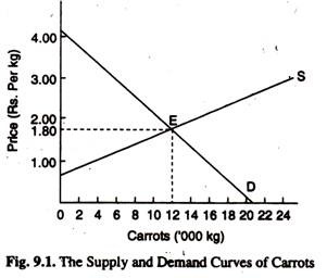 The Supply and Demand Curves of Carrots