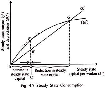 Steady State Consumption