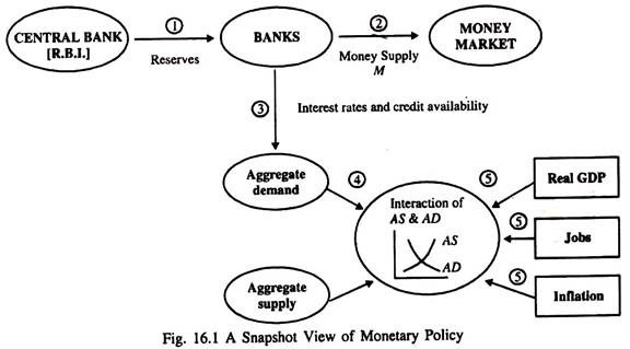 Snapshot View of Monetary Policy