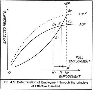 Determination of Employment