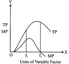 Marginal Product and Total Product