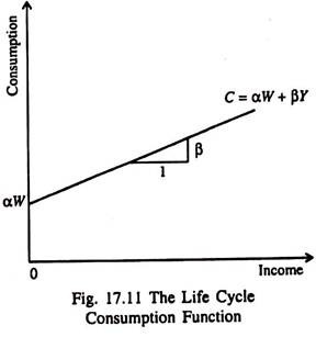 Life Cycle Consumption Function