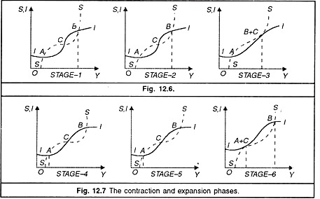 Contraction and Expansion Phases