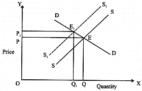 Market Price and Quantity of Rice