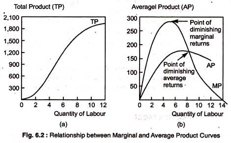 Marginal and Average Product Curves