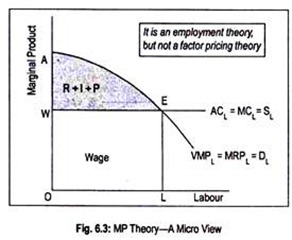 MP Theory-A Micro View