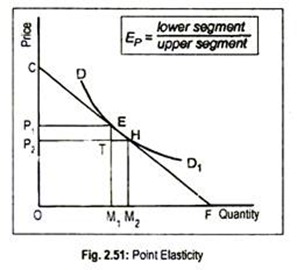 Point Elasticity