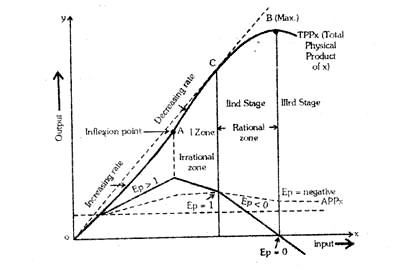 Production Function Curve