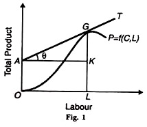 Labour and Total Product